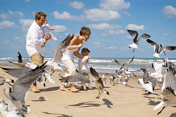 istock Young Family at Beach Surrounded by Seagulls 108128319
