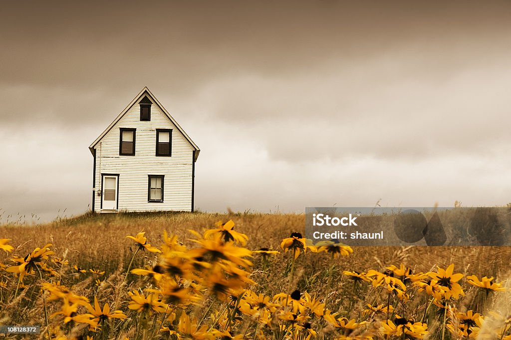 Land zu Hause - Lizenzfrei Wildblume Stock-Foto