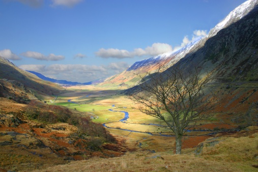 The view of the Buttermere Pines in Lake District under cloudy condition