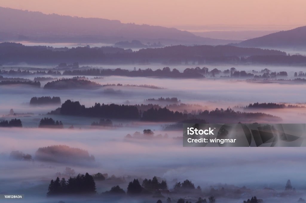 Gloria de la mañana - Foto de stock de Aire libre libre de derechos