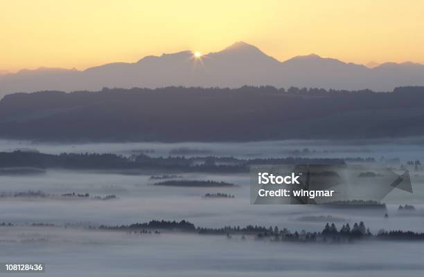 Mattina Di Nebbia Bavariagermania - Fotografie stock e altre immagini di Albero - Albero, Ambientazione esterna, Ambientazione tranquilla