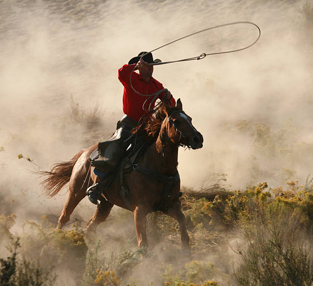 istock Lone rider at the gallop throwing lassoo 108128454