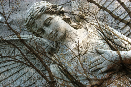 Composite photo of a stone angel and bare trees