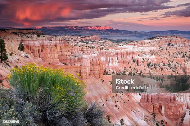 Tempesta Nuvole Nel Deserto Bryce Canyon - Fotografie stock e altre immagini di Parco Nazionale Bryce Canyon - Parco Nazionale Bryce Canyon, Bryce Canyon, Veduta aerea