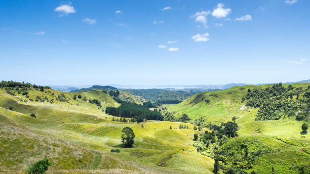 landscape Matamata An image of a beautiful landscape near Matamata New Zealand matamata new zealand stock pictures, royalty-free photos & images
