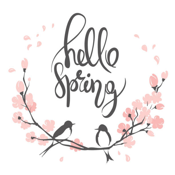 안녕하세요 봄 - frame bird tree spring stock illustrations