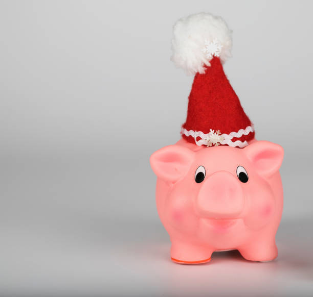 istock Pink piglet in a Santa Claus hat. 1081287760