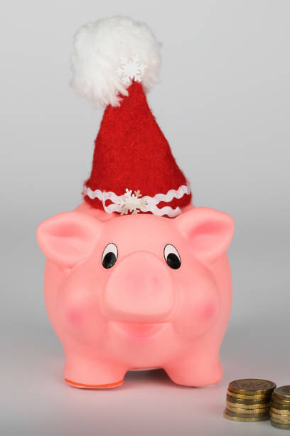 istock Pink piglet in a Santa Claus hat. 1081287804