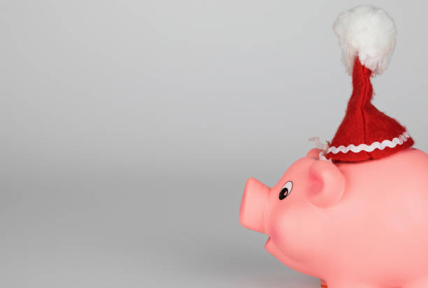 istock Pink piglet in a Santa Claus hat. 1081287824