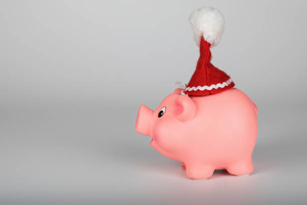istock Pink piglet in a Santa Claus hat. 1081287910