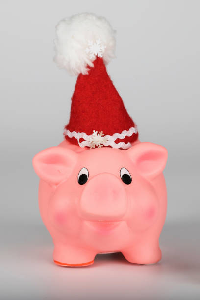 istock Pink piglet in a Santa Claus hat. 1081287912