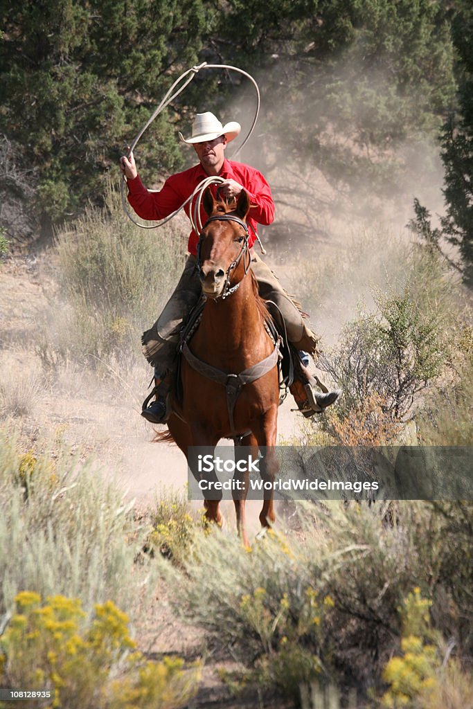 cowboy à dos de cheval lassooeing - Photo de Désert libre de droits