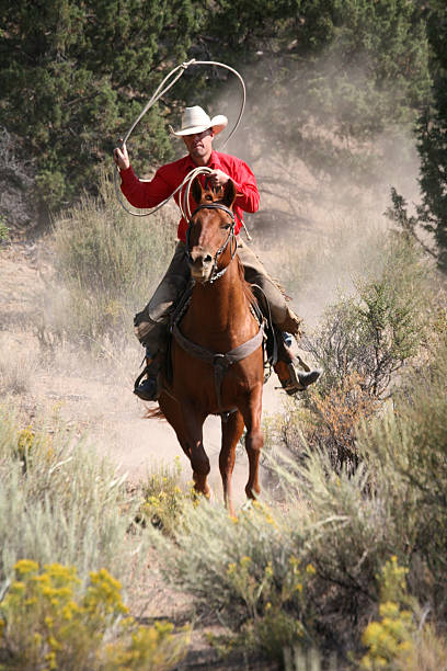 istock cowboy on horseback lassooeing 108128935