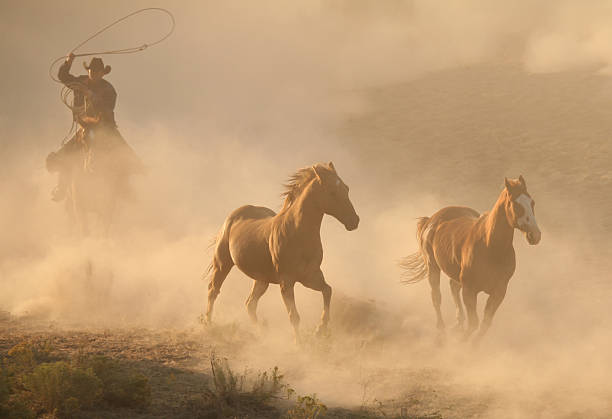 istock Cowboys and Wranglers 28 108128998
