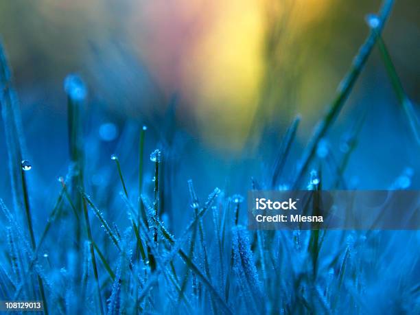 Frozen Dew 2 Stock Photo - Download Image Now - Blue, November, Abstract