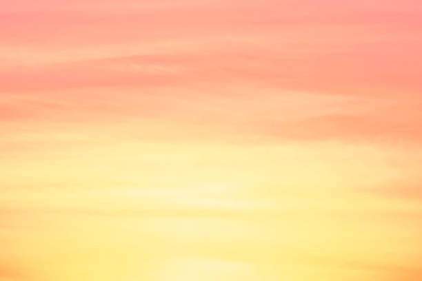 istock Abstract blur light gradient pink soft pastel and yellow for wallpaper background. 1081290724