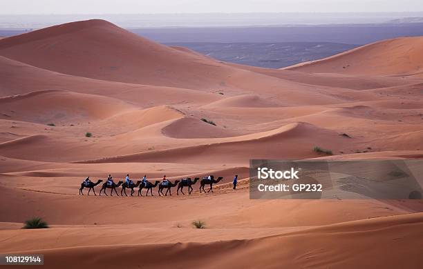 Treno Di Cammello In Movimento Attraverso Il Deserto Del Sahara - Fotografie stock e altre immagini di Algeria
