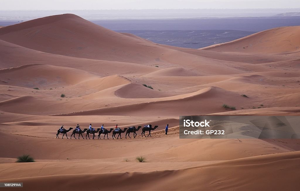 Caravana de Camelos no deserto do Saara em movimento - Foto de stock de Argélia royalty-free