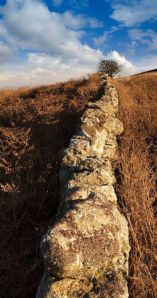 istock Ancient Stone Wall On Hill in Field 108129194