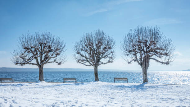 An image of a winter scenery at Tutzing Bavaria