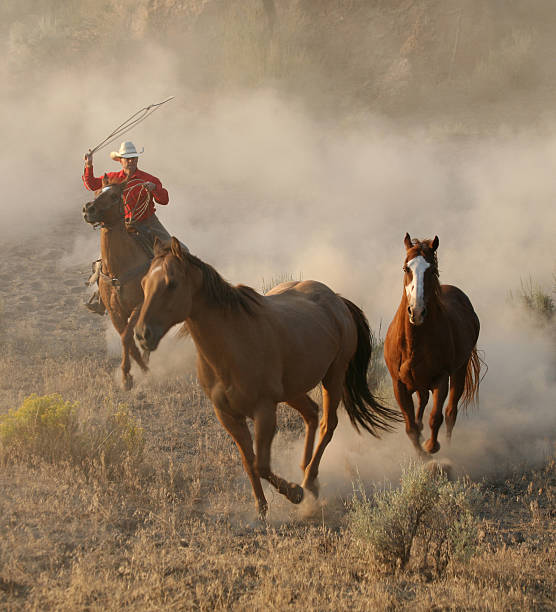 istock Best of the west 108129355