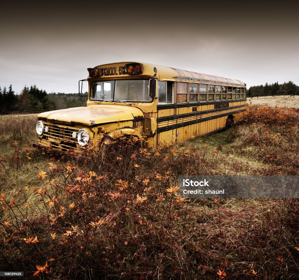 Schoolbus dimenticata - Foto stock royalty-free di Scuolabus