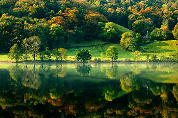 lago di grasmere riflesso - uk mountain color image cumbria foto e immagini stock