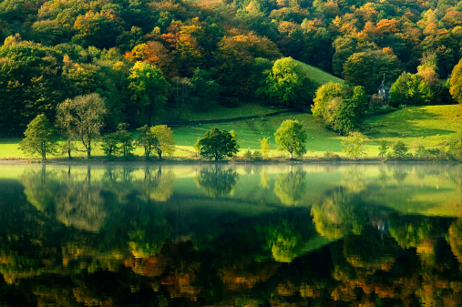 Glen Strathfarrar in Autumn with low cloud over the mountains, Scots Pine trees and reflections in the loch.  Scottish Highlands.  Horizontal.  Space for copy