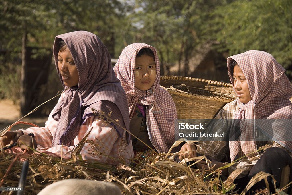 Trzy dziewczyny na Wóz ciągnięty przez woły - Zbiór zdjęć royalty-free (Azja)