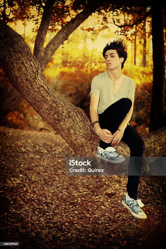 Jovem garoto Emo retrato, sentado em uma árvore na floresta - Foto de stock de Emo royalty-free