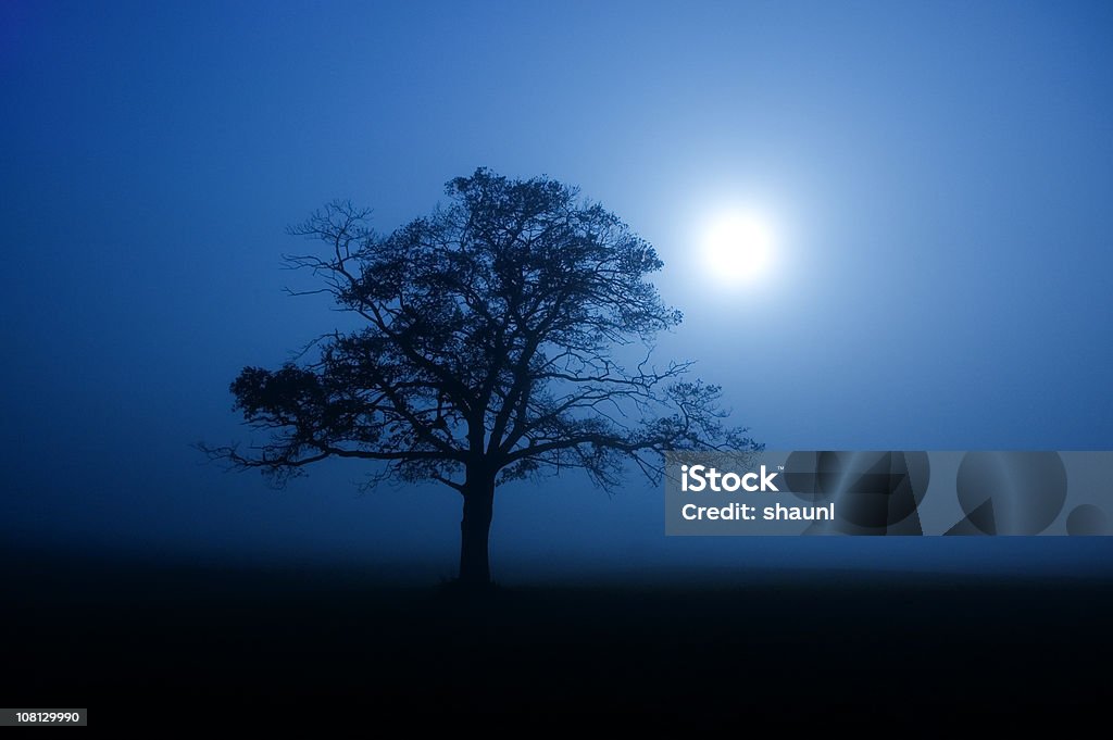 Silhouette al chiaro di luna - Foto stock royalty-free di Albero