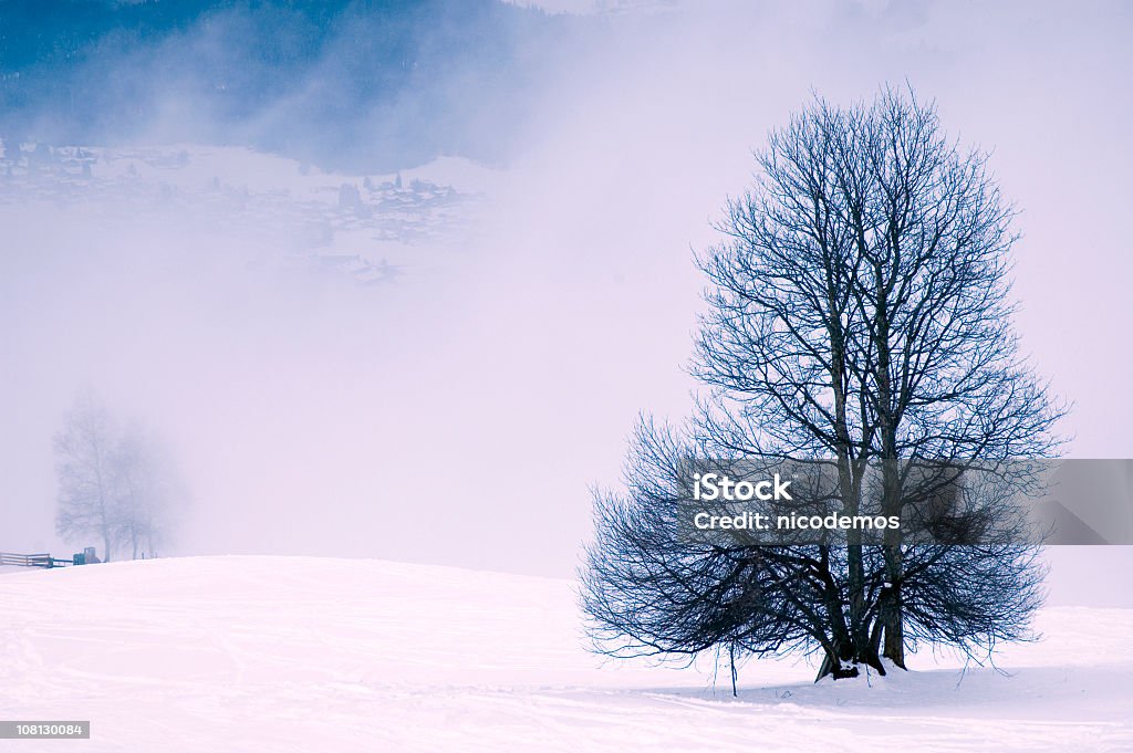 Tempestuosa Inverno - Royalty-free Ajardinado Foto de stock
