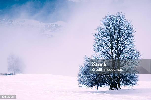 Tempestuosa Inverno - Fotografias de stock e mais imagens de Ajardinado - Ajardinado, Ao Ar Livre, Composição