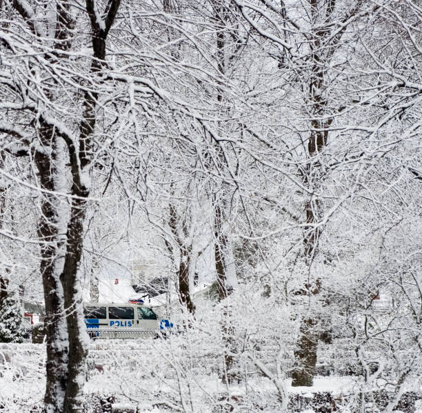 Winter crime