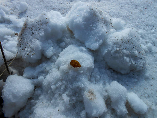 istock the beginning of spring, pulling up the ice crust on the snow, countryside,  traces 1081302386