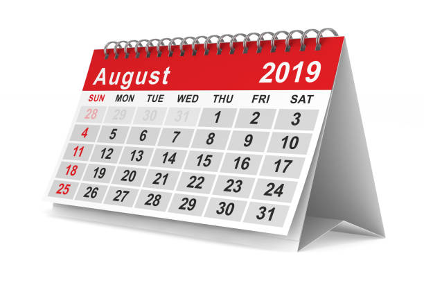 istock 2019 year. Calendar for August. Isolated 3D illustration 1081303614
