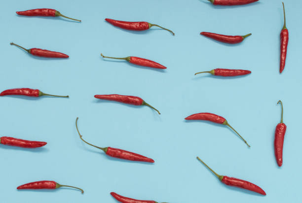 istock Very Hot Chili Peppers on Blue Paper Background Top View 1081323690