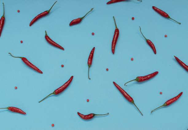 istock Very Hot Chili Peppers on Blue Paper Background Top View 1081323708