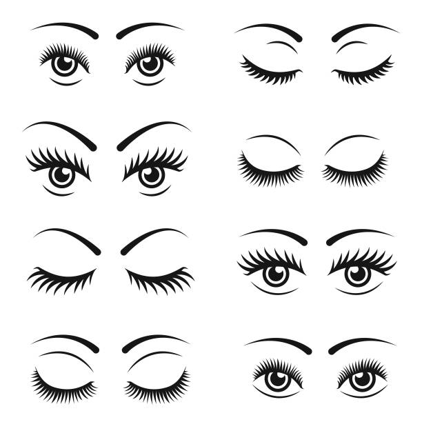 ilustrações de stock, clip art, desenhos animados e ícones de eyelashes icon set - raised eyebrows illustrations