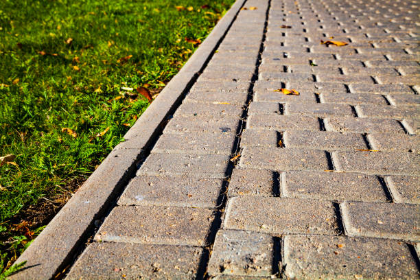 istock Stone path in the park and green lawn. 1081335112