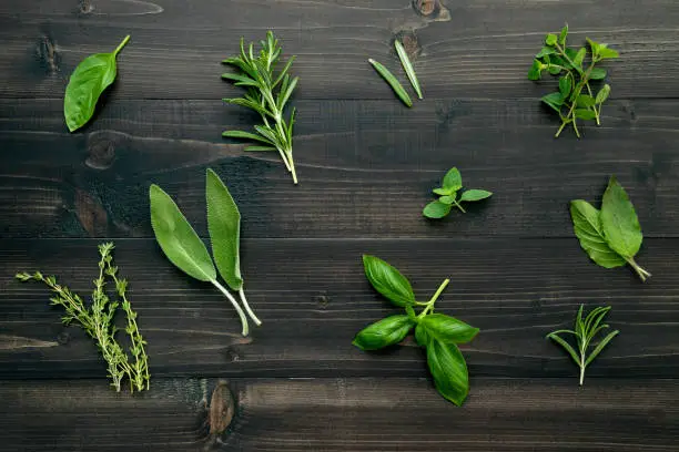 Photo of Various of spices and herbs on wooden background. Flat lay spices ingredients rosemary, thyme, oregano, sage leaves and sweet basil on dark wooden.