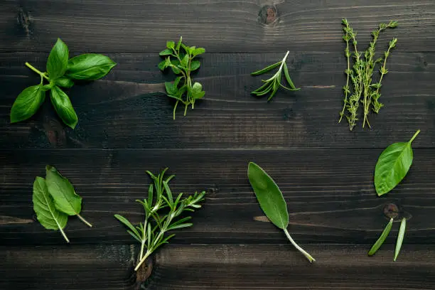 Photo of Various of spices and herbs on wooden background. Flat lay spices ingredients rosemary, thyme, oregano, sage leaves and sweet basil on dark wooden.