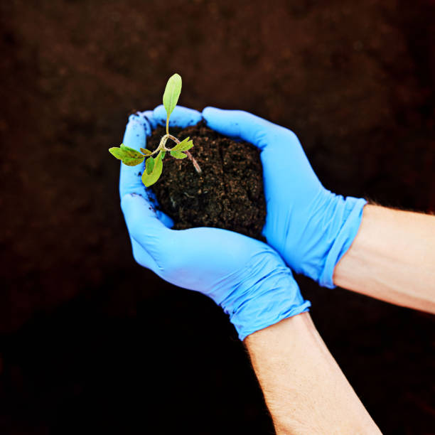 istock Holding nature in his hands 1081342934