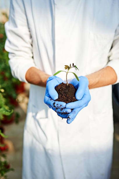 istock Growing at the perfect rate 1081342946