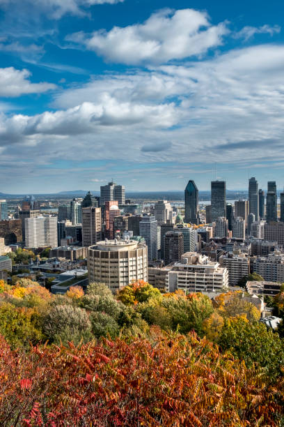 istock Panoramic view of Downtown Montreal 1081344658