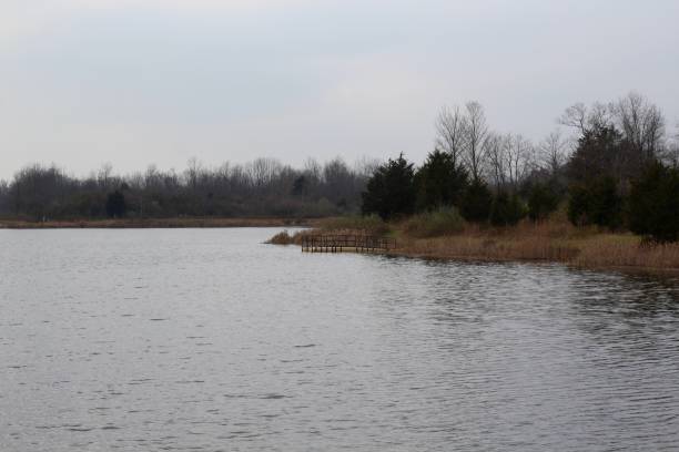 istock Late Autumn at the Lake 1081357348