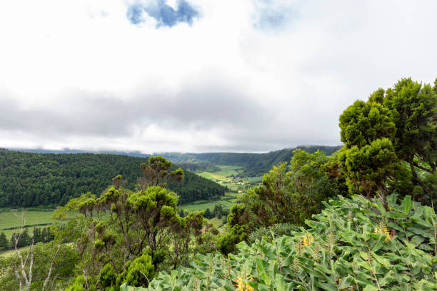 istock Vibrant Sao Miguel 1081361412
