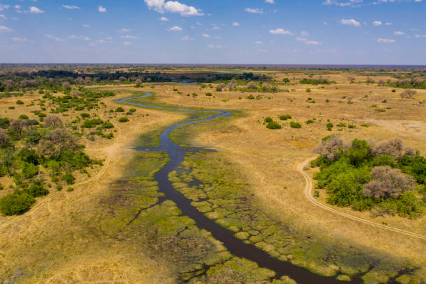 istock Aerial view of Okavango Delta, Botswana, Africa 1081365570