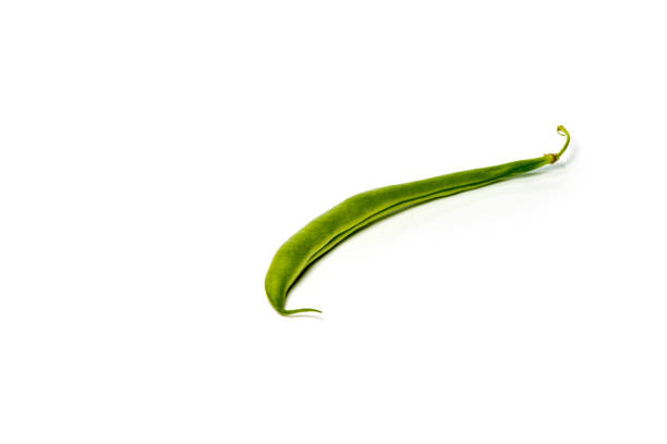 Kidney beans in a white background
