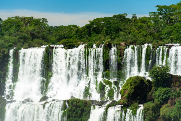 istock Beautiful Iguazu Falls in Argentina 1081405308